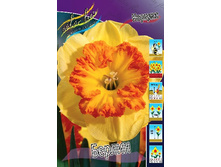 43,54���. ������� ������(�������� ���� �� 5 ��., ����������� ����� 1��.).jpg