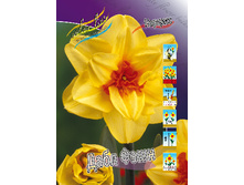 25,36���. ������� ���� ������(��� 7 ��. ���������� ������ 3 ��� 4 ��.)���16.jpg