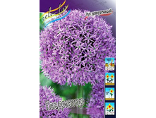 62,27���. ��� �����. ���������(�������� ���� �� 3 ��., ����������� ����� 1��.).jpg