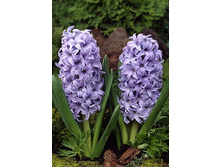 22,94���. ������� ��� ������(��� 5 ��. ���������� ������ 2 ��� 3 ��.).jpg