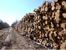 ���������� �����