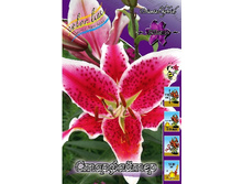 26,3���. ����� ����������(��� 7 ��. ���������� ������ 3 ��� 4 ��.).jpg