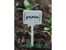 ����� �������� ��� ������� �������-������ 30 ���. ��. (� ��. 12 ��.) ������� 24 ��. �������.jpg