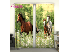 02572. ��������� "������"