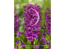 22,94���. ������� ���������(��� 5 ��. ���������� ������ 2 ��� 3 ��.)���16.jpg