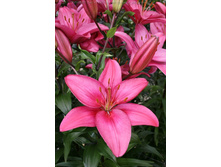 ����� ������.JPG