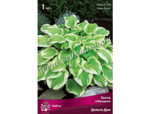 ����� ��������� ������ ���.jpg