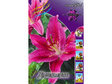 21,8���. ����� �������(��� 7 ��. ���������� ������ 3 ��� 4 ��.).jpg