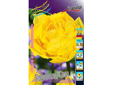 19,43���. ������� ������� ���(��� 10 ��. ���������� ������ 5��.).jpg