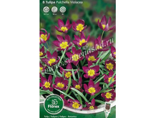 ������� ��������� ��������.jpg