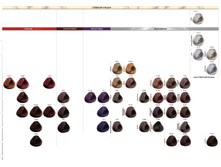 ������� ColorEvo-3.jpg