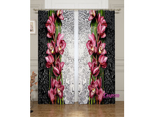 03849 ��������� "�������������� �������"