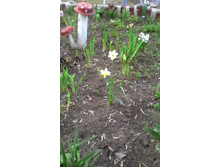 IMG 20160425 180704.jpg