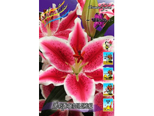 31,06���. ����� ��������(��� 5 ��. ���������� ������ 2 ��� 3 ��.).jpg