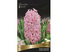 ������� ������� �������.jpg