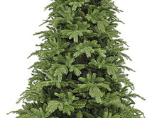 ������ ����� �������� �������