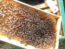 20160528 170124[1].jpg