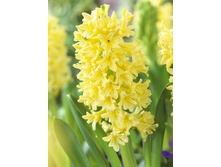 23,88���. ������� �����������(��� 5 ��. ���������� ������ 2 ��� 3 ��.).jpg