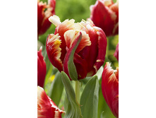 31,91���. ������� ������ ������(��� 7 ��. ���������� ������ 3 ��� 4 ��.)���15.jpg