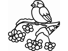 Image330.png