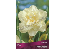 ������� �����.jpg