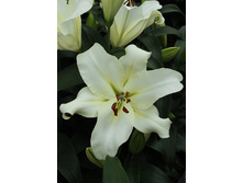 37���. ����� ������(��� 5 ��. ���������� ������ 2 ��� 3 ��.)���15.jpg