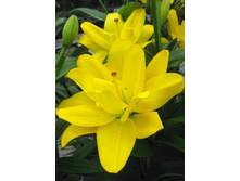 52,28���. ����� ������ ������(�������� ���� �� 5 ��., ����������� ����� 1��.)���16.jpg