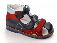 2489.�����-����� ORTO.jpg