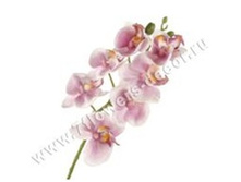 3760169248602 ������ ������������� ����������, 50�� 240 273,7.jpg