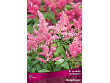 �������� ��������� ���������.jpg