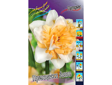 33,24���. ������� ��������� ����(��� 5 ��. ���������� ������ 2 ��� 3 ��.)���15.jpg