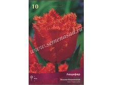 ������� �������.jpg