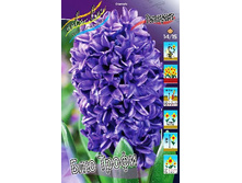 23,88���. ������� ��� �����(��� 5 ��. ���������� ������ 2 ��� 3 ��.).jpg