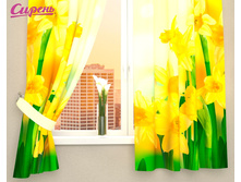 03174 ��������� "������ ��������"