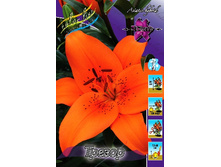 24,4���. ����� ������(��� 5 ��. ���������� ������ 2 ��� 3 ��.).jpg