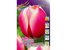 22,24���. ������� ������� ���������(��� 10 ��. ���������� ������ 5��.).jpg