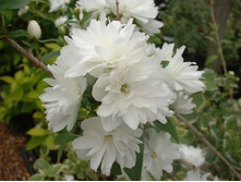 �������� ������ ���