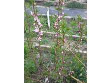 20160501 130146 Richtone(HDR).jpg