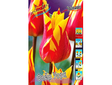 25,99���. ������� ���� ����(��� 10 ��. ���������� ������ 5��.).jpg