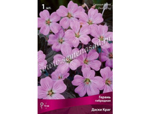 ������ ��������� ����� ����.jpg