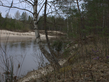IMG 6735.jpg