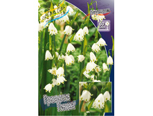 33,24���. ������� ������� �����(��� 5 ��. ���������� ������ 2 ��� 3 ��.)���15.jpg