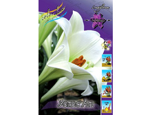 26,3���. ����� ���� ��(��� 7 ��. ���������� ������ 3 ��� 4 ��.).jpg