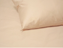 ���� �����