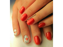 IMG 20160525 153827.jpg