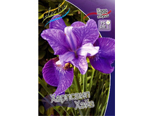 66,2���. ���� ��������� �������� ����(�������� ���� �� 2 ��., ����������� ����� 1��.).jpg