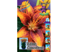 31,6���. ����� ����� ��������(��� 5 ��. ���������� ������ 2 ��� 3 ��.).jpg