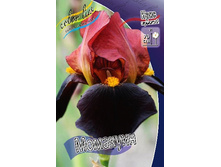 91,55���. ���� ���������� ��������(�������� ���� �� 2 ��., ����������� ����� 1��.).jpg