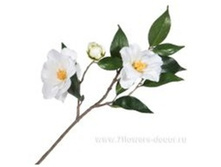 3661864013161 ����� ������������� �������, 46�� 192 288,65.jpg