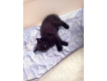 IMG 20160522 202754.jpg